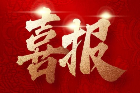【質(zhì)量獎(jiǎng)創(chuàng)獎(jiǎng)】哲捷優(yōu)咨詢(xún)助力東方電氣集團(tuán)東方電機(jī)有限公司榮獲四川省天府質(zhì)量獎(jiǎng)